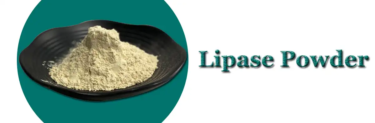 Lipase Powder Saler.jpg